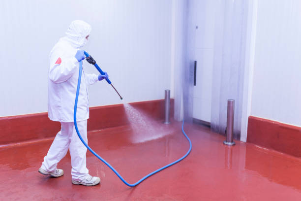 Reliable Sparta, MI Pressure Washing Solutions